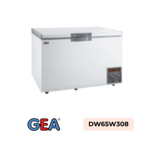Ultra Low Temperature Freezer GEA DW65W308